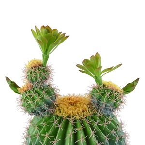 Phong cách mới bán buôn lớn Bonsai bóng nhân tạo cây xương rồng cây nhựa cho bàn trang trí - Product Image 5