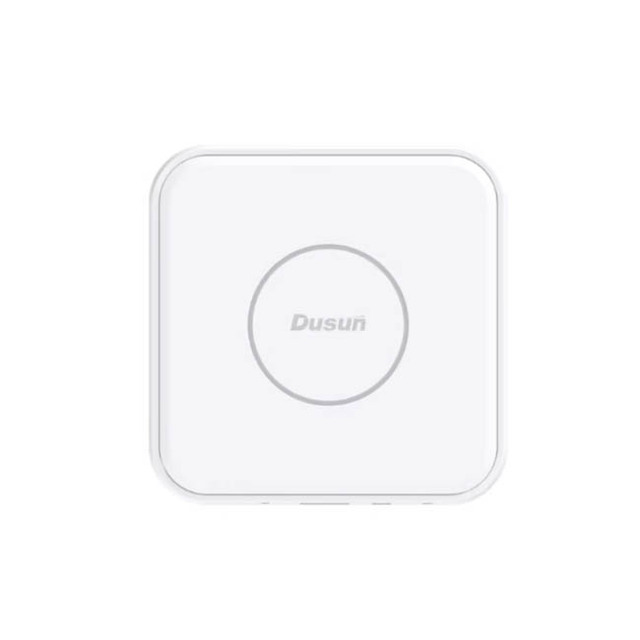 DSGW-210-HA Pre-installed Home Assistant Platform IoT Gateway