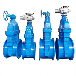 Vanne à opercule à siège renforcé de grand diamètre DN50-DN600 PN10/PN16 en fonte ductile EPDM certifiée ISO9001/CE avec tige en acier inoxydable pour - Product Image 2