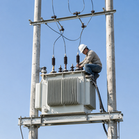 Transformateurs immergés dans l'huile MV/HV à trois phases, 750 kVA, 1000 kVA, hermétiques, livraison gratuite