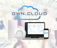 Point d'Accès Wi-Fi d'Extérieur Grandstream GWN7630LR Haute Performance Longue Portée