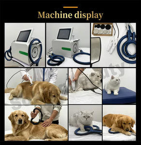 Appareil professionnel vétérinaire portable 2-en-1 Tecar PEMF pour la rééducation équine <span class=keywords><strong>et</strong></span> <span class=keywords><strong>canine</strong></span>, soulagement des douleurs articulaires <span class=keywords><strong>et</strong></span> thérapie profonde pour animaux - Product Image 6