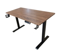 Bureau de jeu électrique réglable à moteur unique pour PC