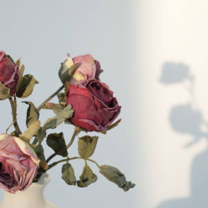 Großhandel natürliche getrocknete Rose Bouquet konservierte Blume für Zuhause Innen-und Außen dekoration - Product Image 3