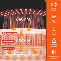 Dispositivo de Terapia de Luz Roja Inalámbrico de Mano con Calentamiento Infrarrojo y Vibración para Uso Doméstico en Senos y Manos