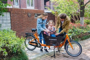 Nanyang/clamber 9015e 250W 36V 9Ah cargobike V/Coaster/con lăn phanh 20 ''26'' khung thép - Product Image 6