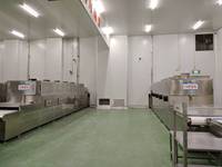 Petit tunnel de déshydratation de calmar Écrou de four et noyau Moringa Leaf Hazlenut Fish Machine à micro-ondes sèche industrielle