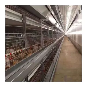 عرض خاص اقفاص الدواجن مزرعة الدجاج اللاحم للبيع