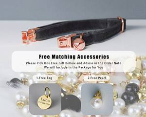 Ensemble collier et laisse personnalisés pour chat et petit chien DarkGrey Veet, avec étiquette gravée sur mesure pour chaton/chiot et clochette dorée gratuite - Product Image 4