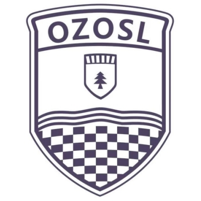 Ozosl (Hubei )technology Co., Ltd. logo