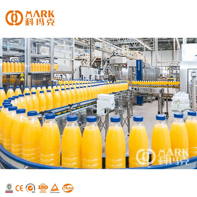 Small Full Automatic Fresh Juice Production Line / Mango Apple Orange Juice Filling Machine Price