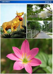 Máy Quay Phim Kỹ Thuật Số 33MP HD D7300, Ống Kính Góc Rộng, Ống Kính Viễn Vọng Quang Học 24x - Product Image 4