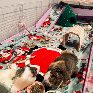 2*6 litières réutilisables pour cochons d'Inde, lavables, absorbantes, coussinets pour <span class=keywords><strong>pipi</strong></span> - Product Image 6