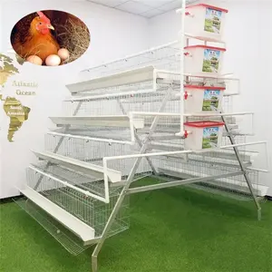 A Type Egg Layer Chicken Cage For South Africa Poultry Farm Chicken House Used HOT SALE