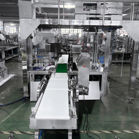 Automatische elektrische blauwe bes passievrucht pulp vacuümverpakkingsmachine met plastic folie voor kleding & textiel