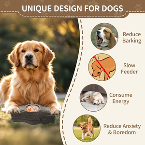 Yıpranmaz Plastikten Yapılmış, Agresif Çiğneyiciler İçin 3'ü 1 Arada Ekolojik, Etkileşimli ve Dayanıklı Dondurulmuş Atıştırmalık Köpek Oyuncakları - Product Image 6