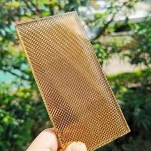 装飾ラミネートガラス銅織りワイヤーメッシュ生地仕切りカーテンウォール病院ドア - Product Image 2