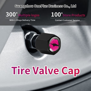 Bouchons de tige de Valve de pneu solide de haute qualité avec ensemble de porte-clés Logo personnalisable nouvel état pour les voitures - Product Image 4