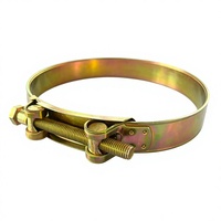 Collier de serrage à vis sans fin en acier inoxydable de style européen 226 mm avec finition bruniée