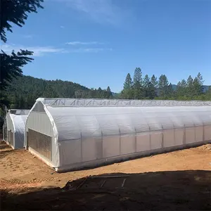 American Popular High Tunnel Agricultural Medical Hemp Planting Agricultural Blackout Greenhouse Light Deprivation Greenhouse
