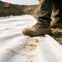 Tela Geotextil No Tejida Directa de Fábrica para Refuerzo de Suelos y Estabilización de Caminos, Alta Calidad, Mejor Precio