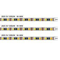 Bande lumineuse flexible 2835 blanc chaud, double température de couleur, 5V-24V, 120-240 LED, double couleur CCT, gradation, IP20