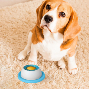Gamelle automatique anti-glouton en ABS pour <span class=keywords><strong>chats</strong></span> et chiens, jouet d'activités et accessoire d'intérieur pour animaux de compagnie - Product Image 5
