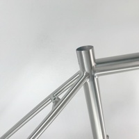 Cadre de vélo de route en titane avec tube de direction intégré et patins de roue interchangeables Cadre de vélo en titane fabriqué par Waltly OEM