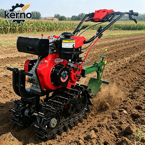 Motoculteur chenillé diesel 9 CV pour le labourage et le travail du sol, idéal pour les serres et les exploitations maraîchères - Product Image 1