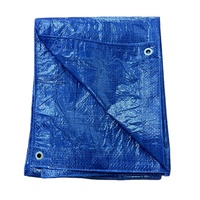 Bâche à coudre en nylon de polyéthylène vert, bleue