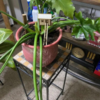 Mini arbre maison Pot de fleur drôle Pot de plante décor en bois jardin petite pelouse piquets parure Pot de fleur décorations