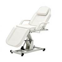 Lit de beauté électrique portable de luxe avec fauteuil de massage confortable et lit facial très demandé pour usage domestique