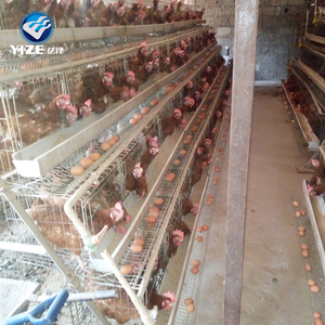 Cages à volailles de seconde main (cages chaudes alimentation du poulet 3 couches, 4 couches fermes en fil d'acier à faible teneur en carbone boîte en bois 9-10 ans - Product Image 4