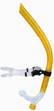 Dorado (snorkel de transparencia)
