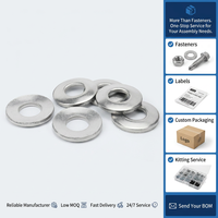 Stainless Steel DIN6796 Conical Washers Disc Spring Washers Belleville Washers for Bolt