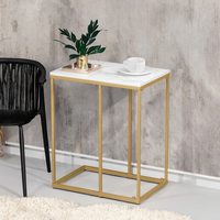 Table basse moderne en métal personnalisable pour le salon, idéale pour les boissons, les collations, l'ordinateur portable et les livres, livraison directe depuis les États-Unis