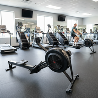 Máquina de Remo Comercial con Resistencia al Viento, Equipo de Entrenamiento Cardiovascular para Gimnasio, para Entrenamiento HYROX