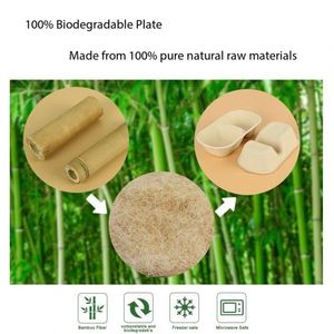 Bol à salade jetable écologique le plus vendu, conteneur personnalisé, boîte alimentaire biodégradable à emporter - Product Image 2