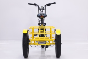 Triciclo Plegable Ztr Reverse Drift Scooter 2021 a Precio Económico de Fábrica - Product Image 4