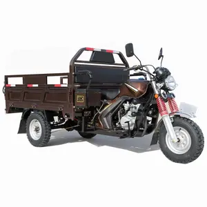 150cc Harga Murah sepeda motor bensin 3 roda untuk kargo keluarga digunakan pertanian dewasa 12V transportasi kargo bermotor terbuka