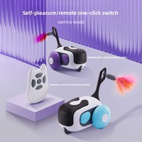 2-in-1 RC Katzenspielzeugauto mit Federstab, interaktives Kätzchenspielzeug, USB-wiederaufladbar, automatische Hindernisvermeidung, OEM-Großhandel