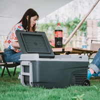 Réfrigérateur portable 12 volts, compresseur, 40L, réfrigérateur-congélateur pour voiture, camping, mini réfrigérateur électrique pour voiture, OEM/ODM