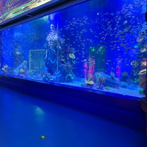 <span class=keywords><strong>Ocean</strong></span> Park Grand <span class=keywords><strong>Aquarium</strong></span> Personnalisé Clair Carré Grand <span class=keywords><strong>Aquarium</strong></span> Acrylique Lucite Acrylique Fish Tank - Product Image 6