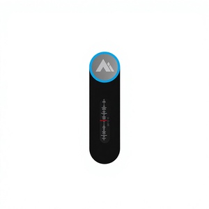 Application de Dictaphone Professionnel Intelligente ChatGPT avec Contrôle Vocal à Distance, Enregistrement WAV Longue Durée pour Réunions - Product Image 4