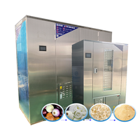 Machine de sèche-oignon humide w, pour graines et ail, Machine de séchage à sec en chine, ligne de fabrication d'ail d'oignon