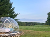 Tente dôme transparente en plastique, livraison gratuite, 12 pieds, pour jardin