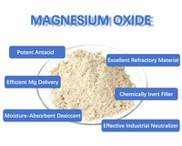 Poudre de magnésie légère brûlée, poudre d'oxyde de magnésium MgO 85% 90% 92% 120 Mesh CCM pour la désulfuration des gaz de combustion