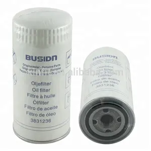 Bustidn buona qualità filtro del carburante 3831236 61671600 1173430 5W-6017 00011849601 JX0818A4 01173430EE