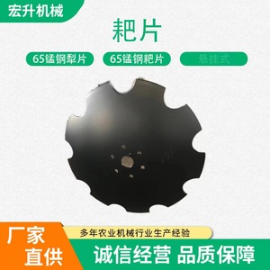 Arado de discos de 510 mm y 660 mm de acero al carbono para cultivadores - Product Image 2