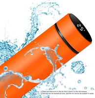 Bouteille d'eau sport intelligente isotherme réutilisable de 500 ml en acier inoxydable avec affichage LED de température, étanche, vente en gros